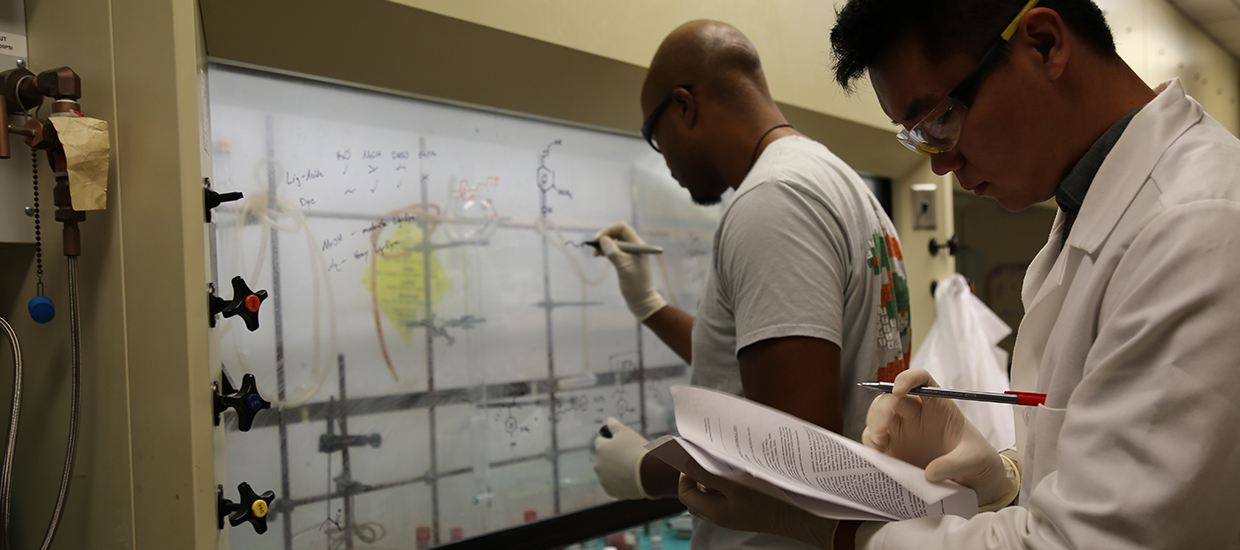 Graduate students in lab