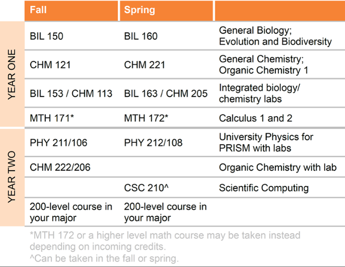 Curriculum graph