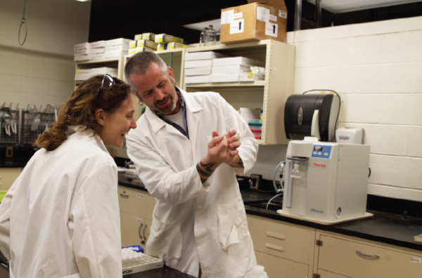 people working in lab