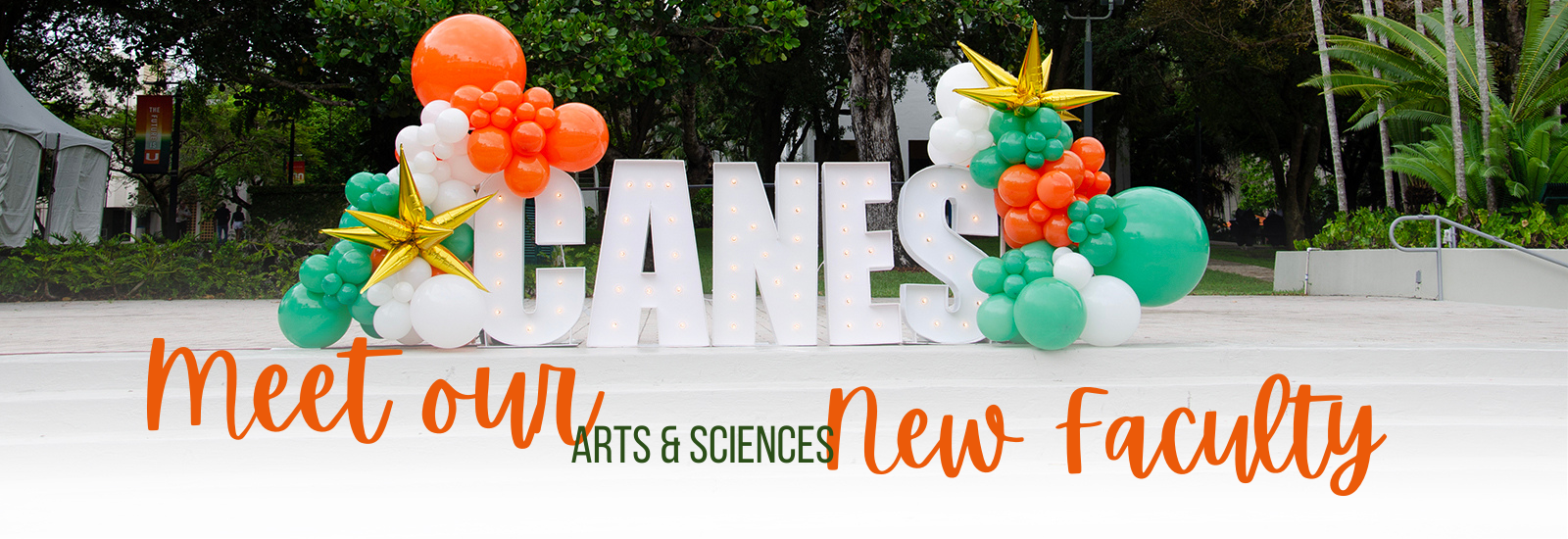 Meet our new faculty decorative image